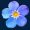 jeff-lowery-9wF7Bm8s5jQ-unsplash