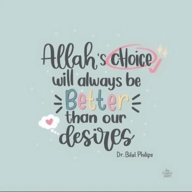 photo_19_2025-09-24_11-35-56