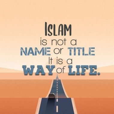 photo_2_2025-09-24_11-35-56